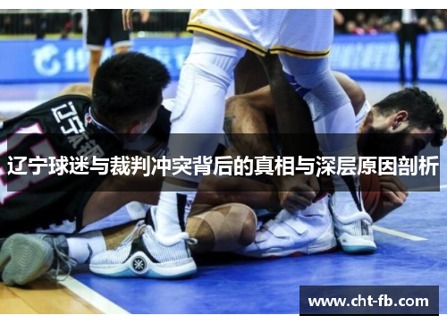 辽宁球迷与裁判冲突背后的真相与深层原因剖析