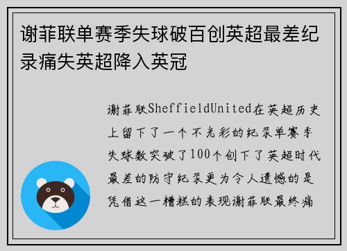 谢菲联单赛季失球破百创英超最差纪录痛失英超降入英冠 谢菲联单赛季失球破百创英超最差纪录痛失英超降入英冠