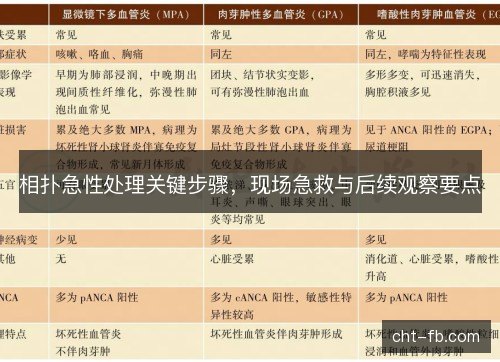 相扑急性处理关键步骤，现场急救与后续观察要点
